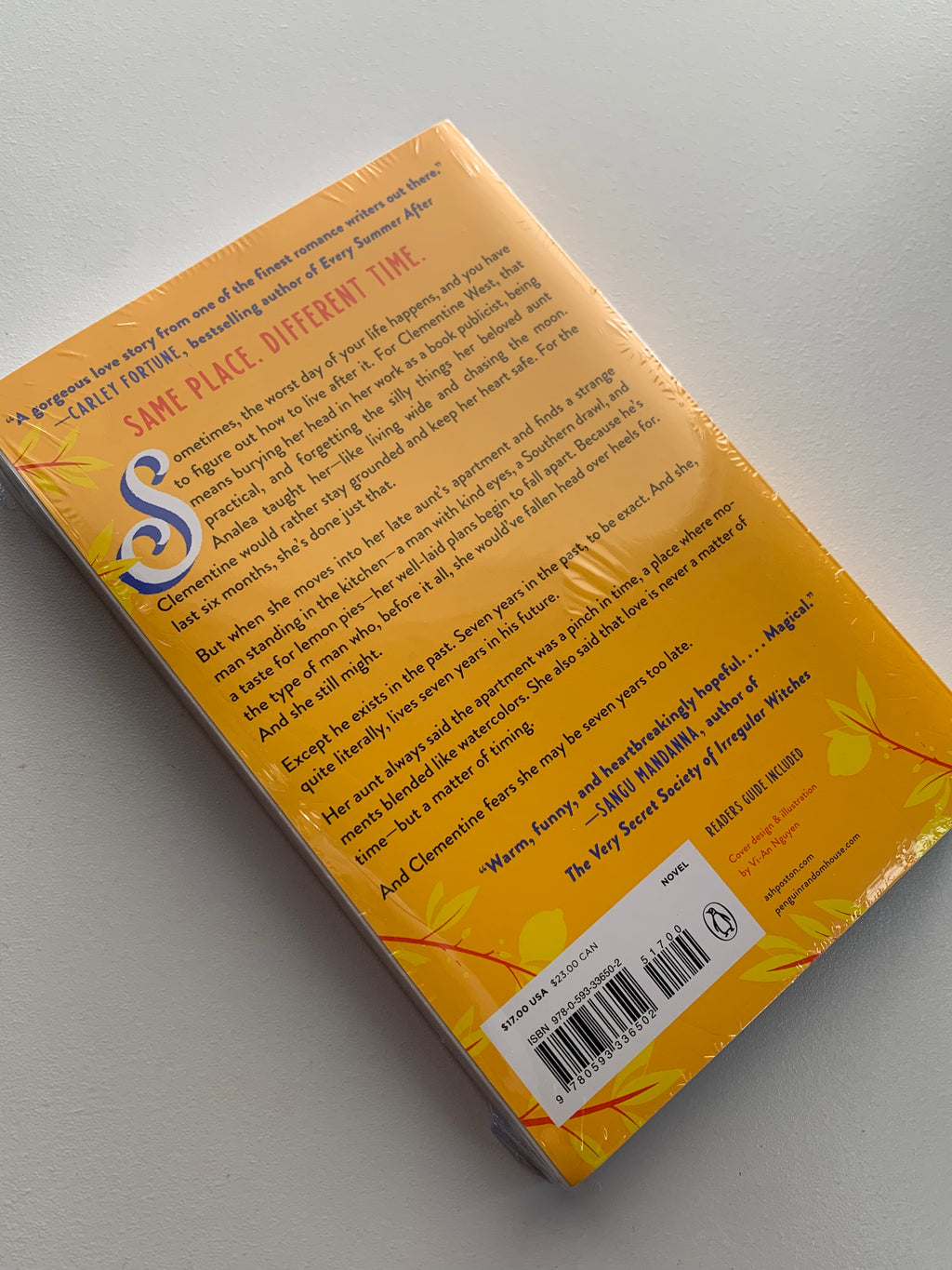 The seven year slip - Ashley Poston
