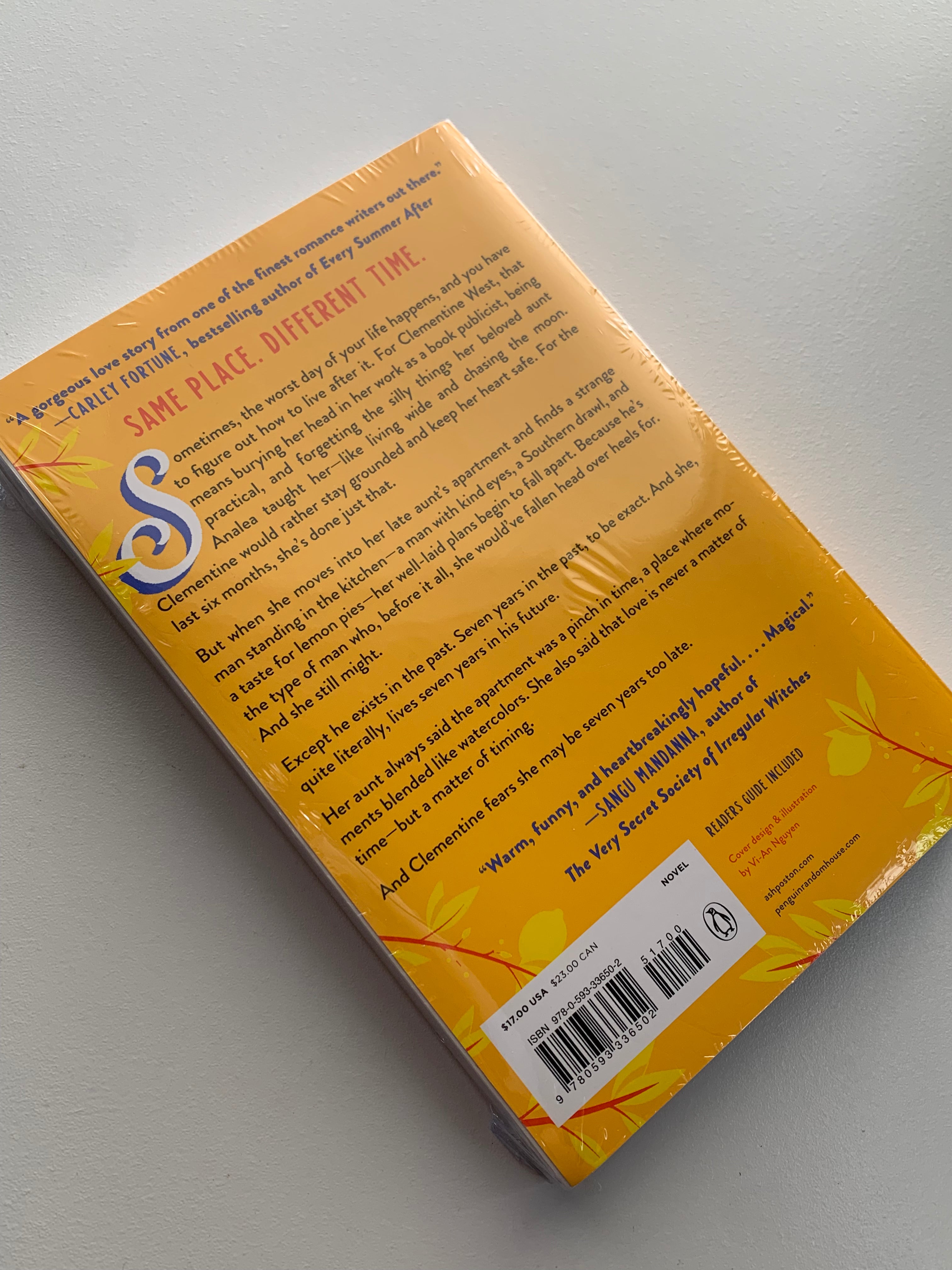 The seven year slip - Ashley Poston