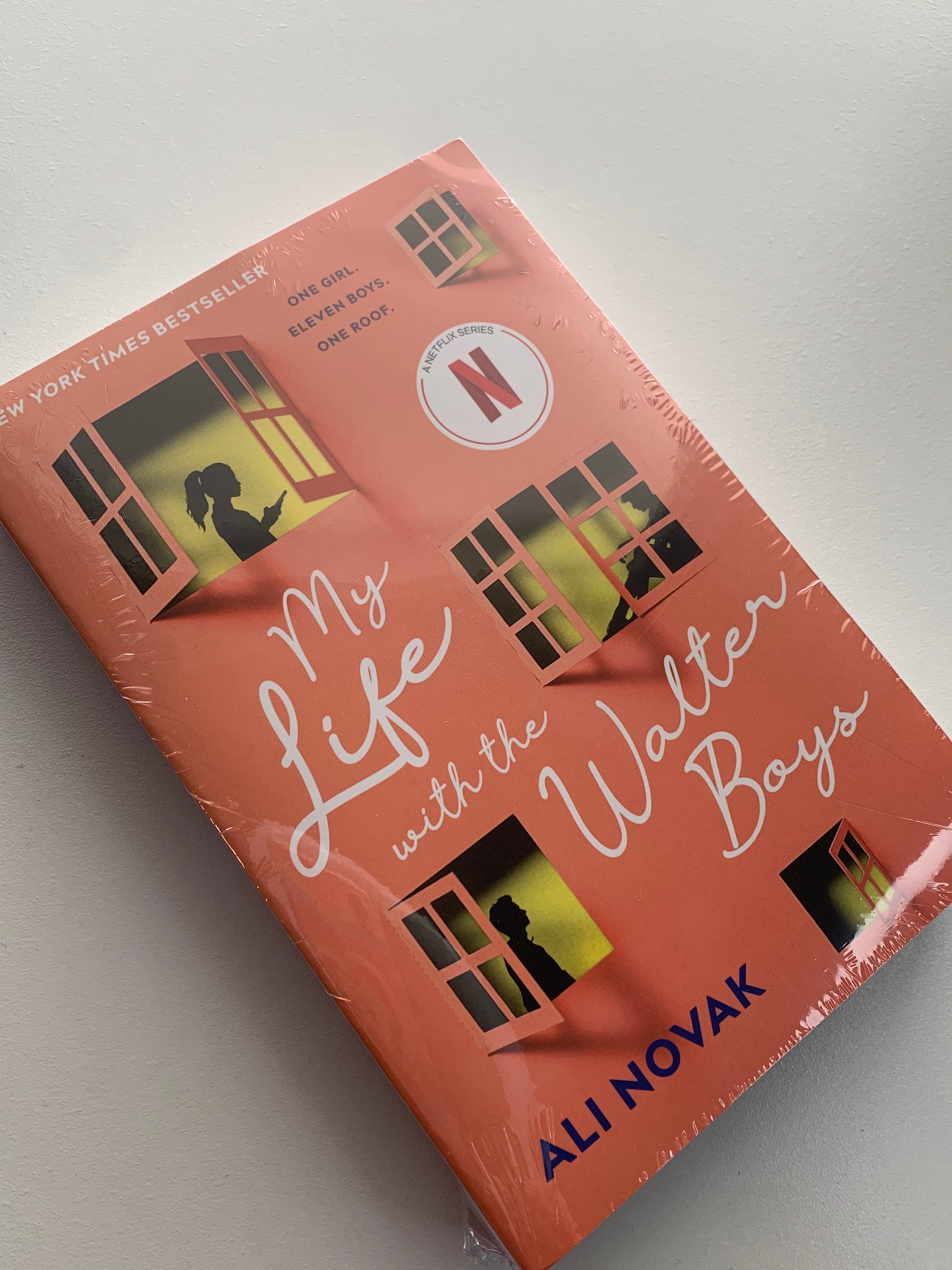 My life with the Walter boys - Ali Novack
