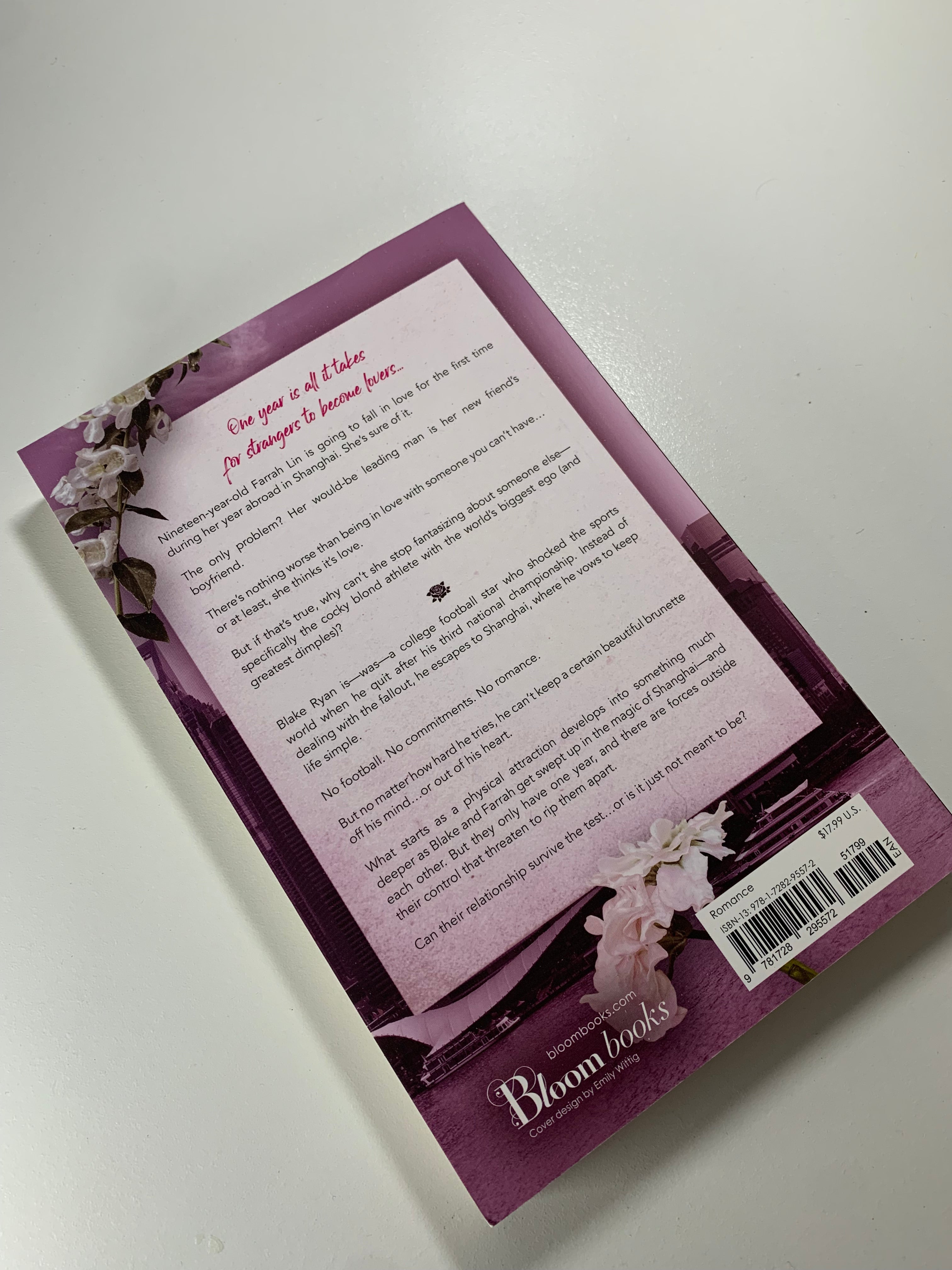 If We Ever Meet Again - Ana Huang