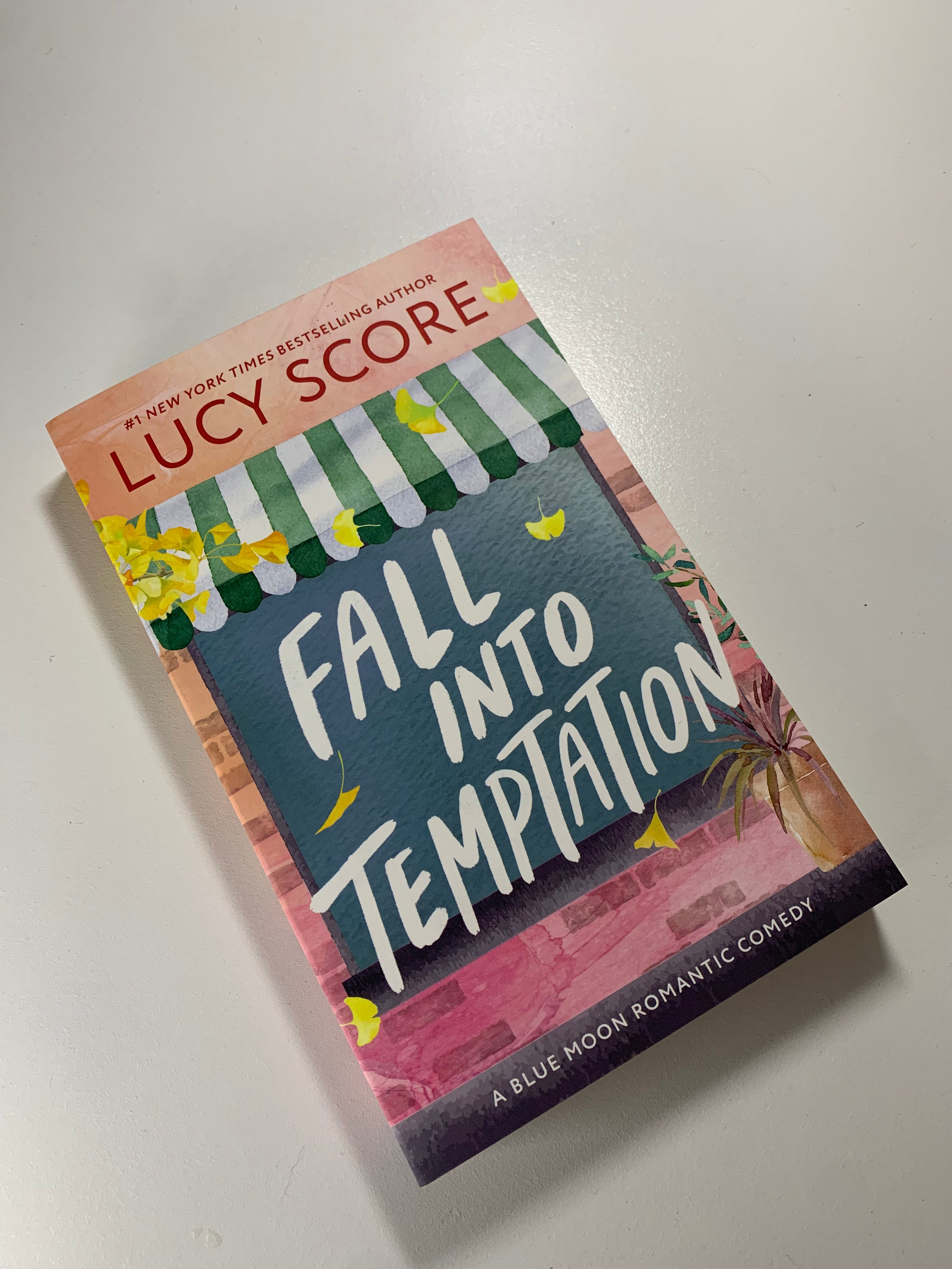 Fall Into Temptation - Lucy Score